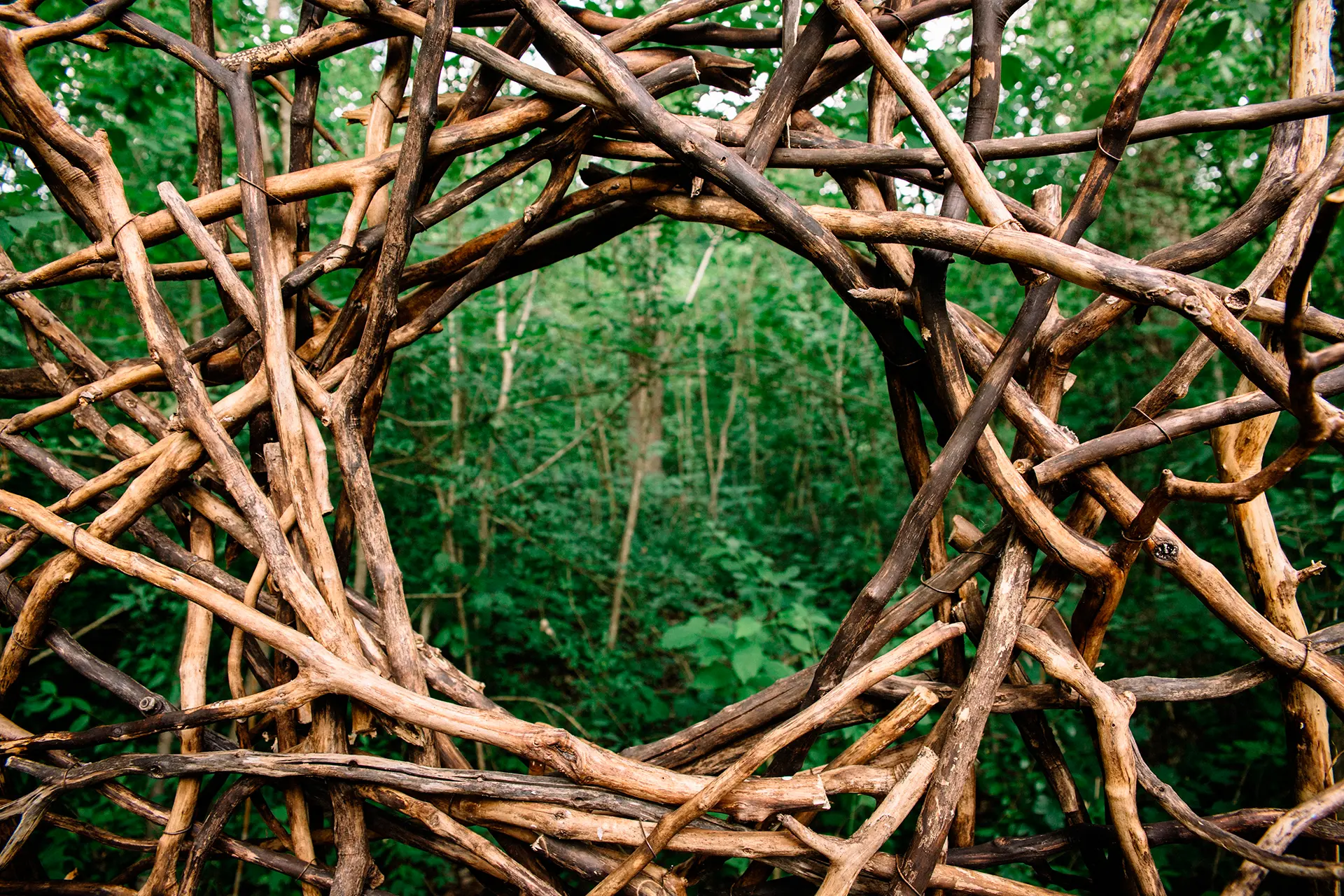 4k8warc89il0m3m5nrfpe12vue7bqr9p