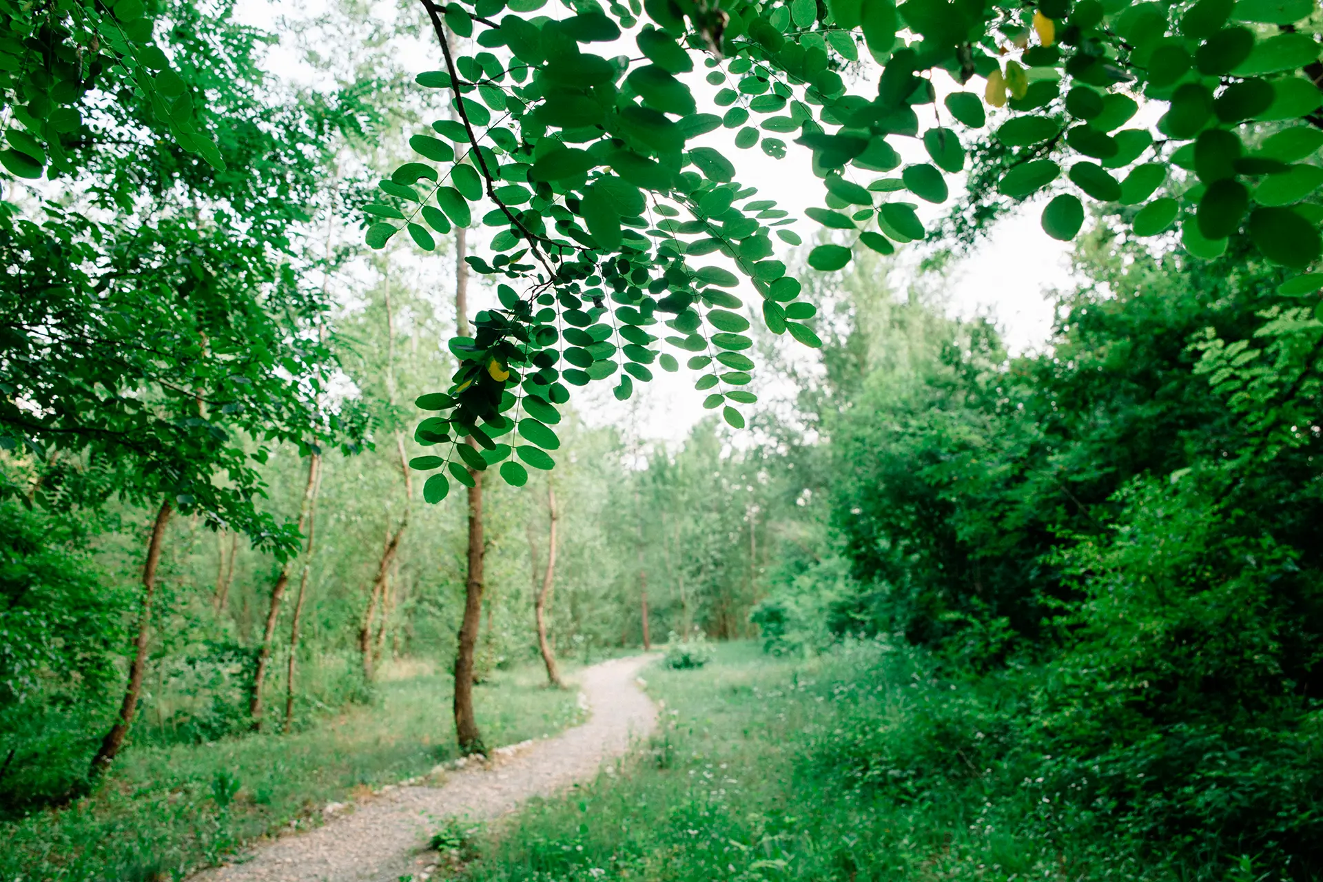 an6lxvx9b1llldsxlzqowxv72rbme1m7