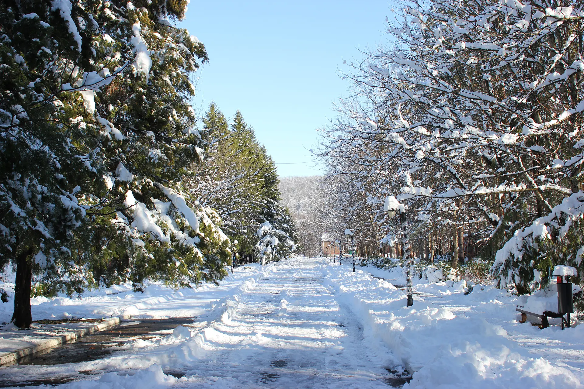 aur2tisxmunnarfrlpbp0h5pas3bs0co