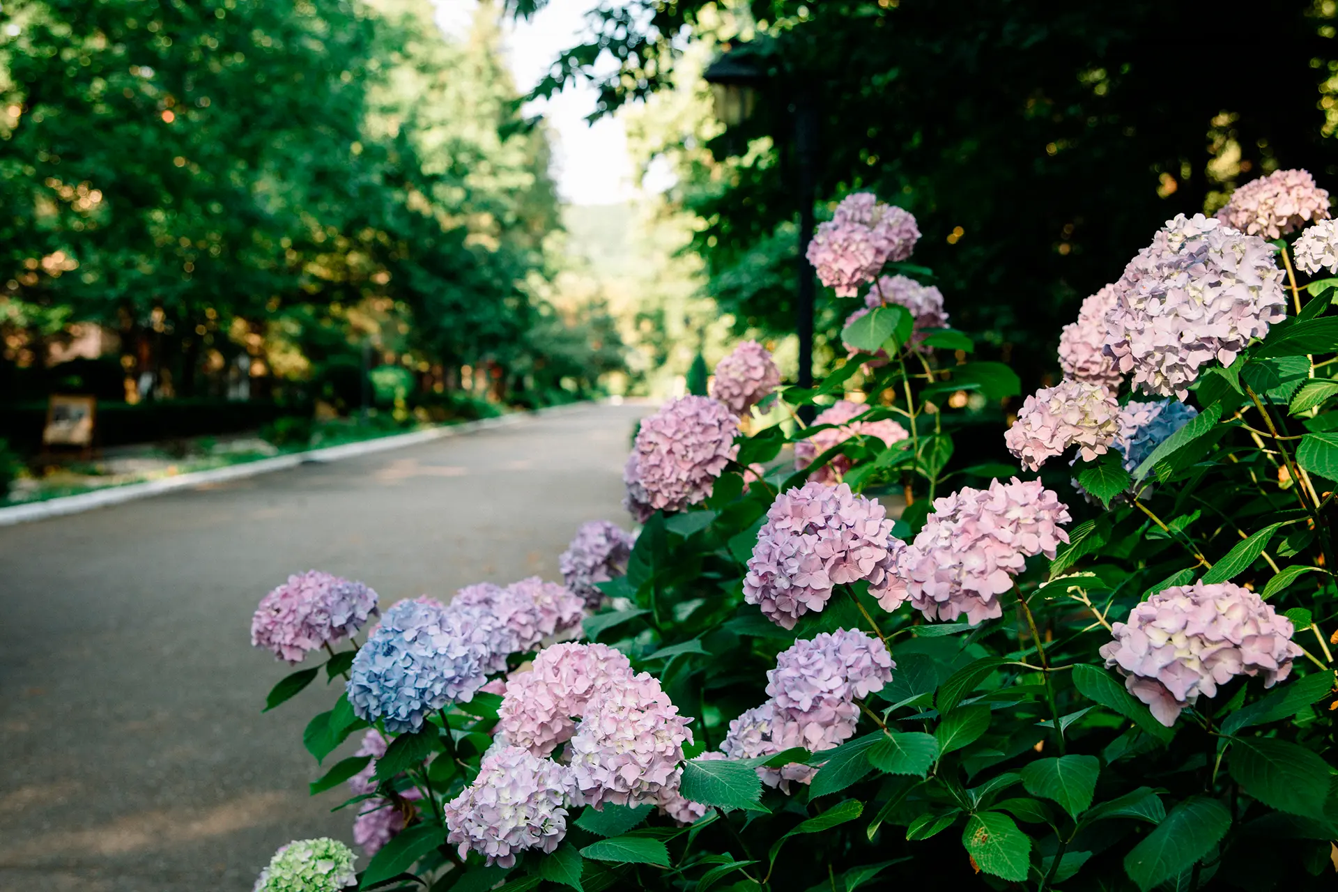 kwe72zix0yi2u22itm8wrvjvmsbjgxp9