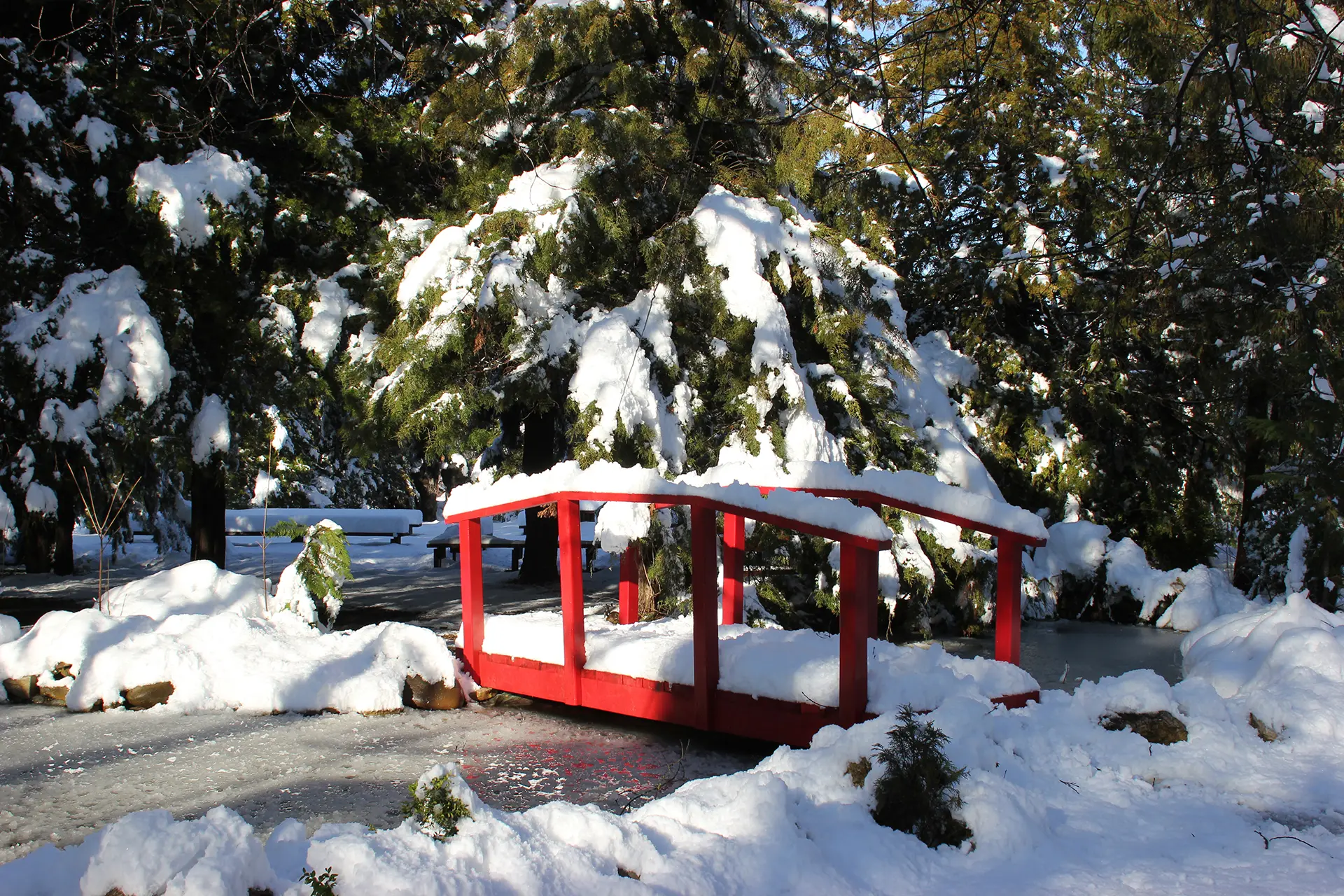 rns4iew8dtqq72syi8rmgyy8gt0soht5