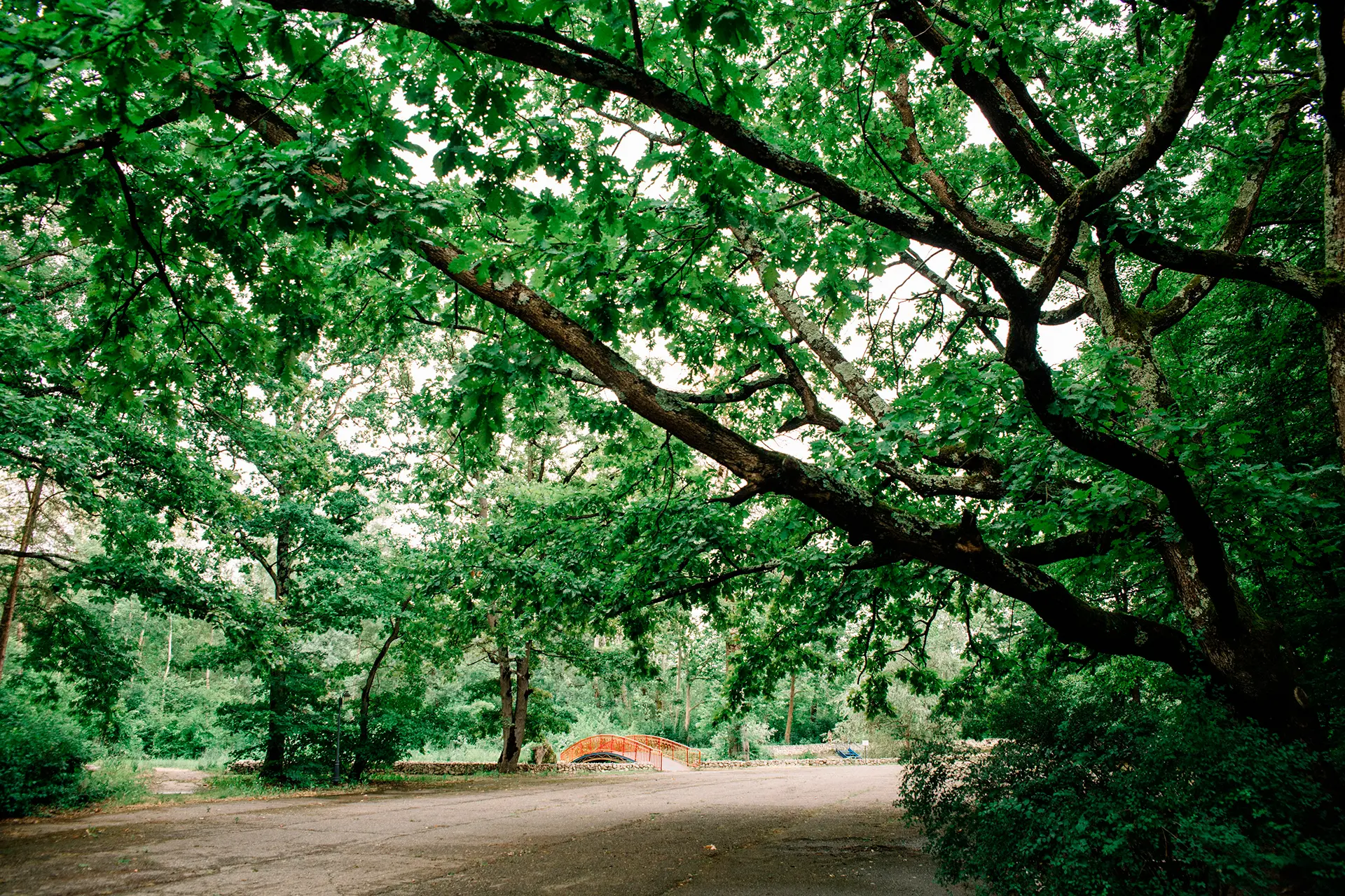 uazksthtgv70q53zl8uj4mir4ej97e79