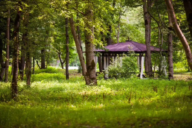 uhcie6ydh6v5v6bwcpkg1qhrc85hty5n