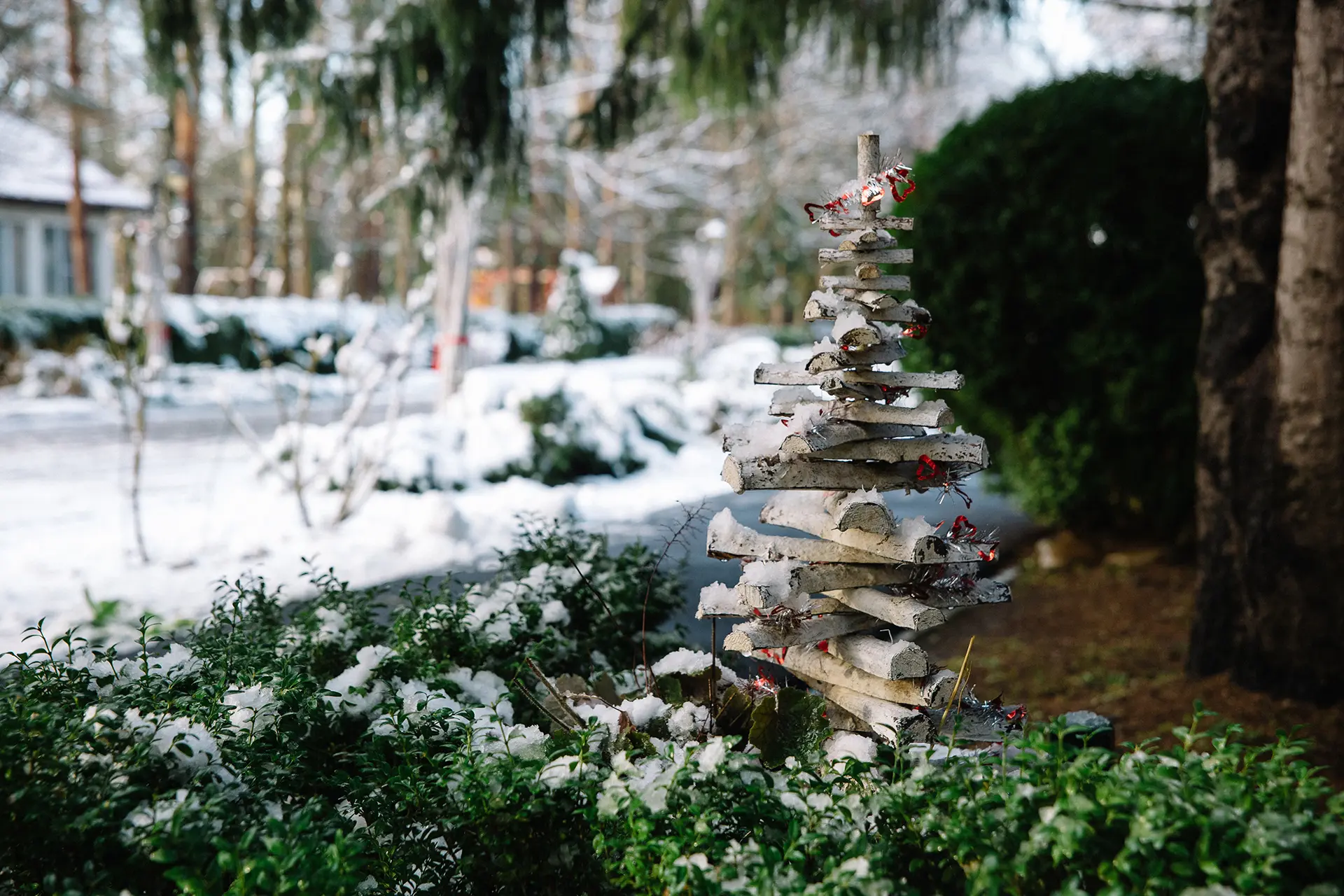 y56wkdai2a5n14dphcldyq0efj9bwpur