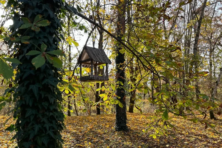 31ufekwz79i4jvqlpnxakzc7sse239nf