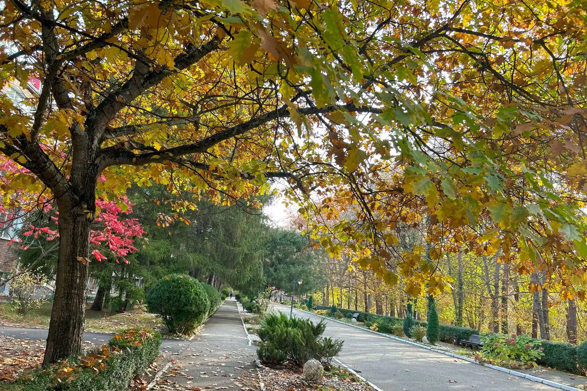 7vdyr7fi1npg41fqbhbt6rlp3a95w82p