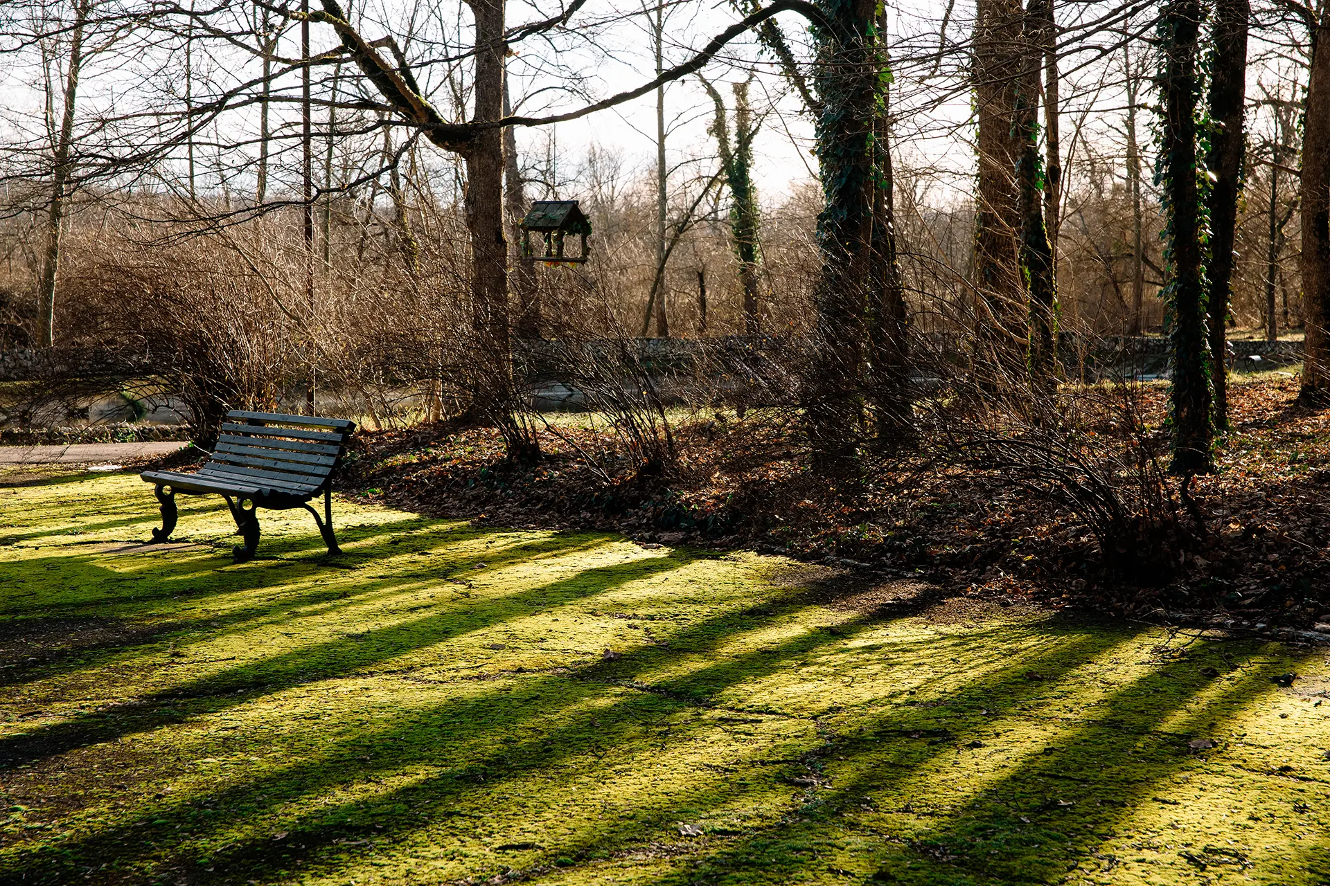 dxjweqxx0b01y7et0tf39mb785gfm2vn