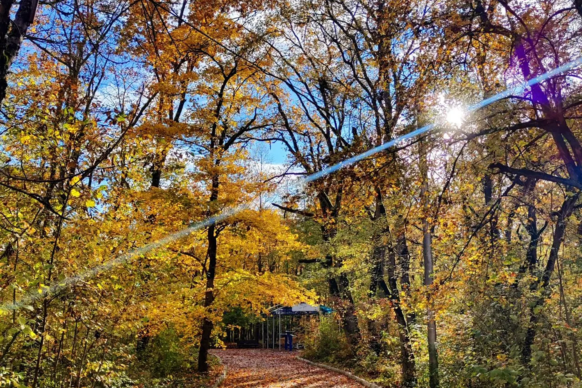 e4ajga3ydrz2nwofl1zqqh3mzez2iuva