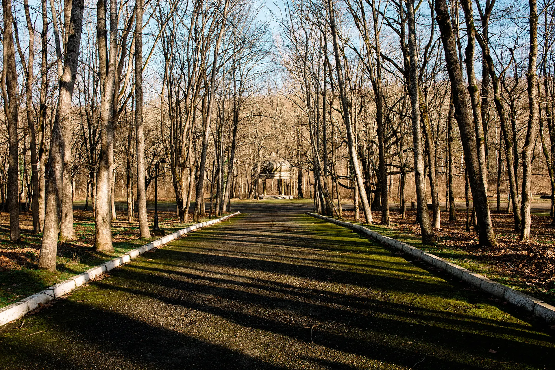 kisvjpa92527n0czzq2k4fawr3xq079s