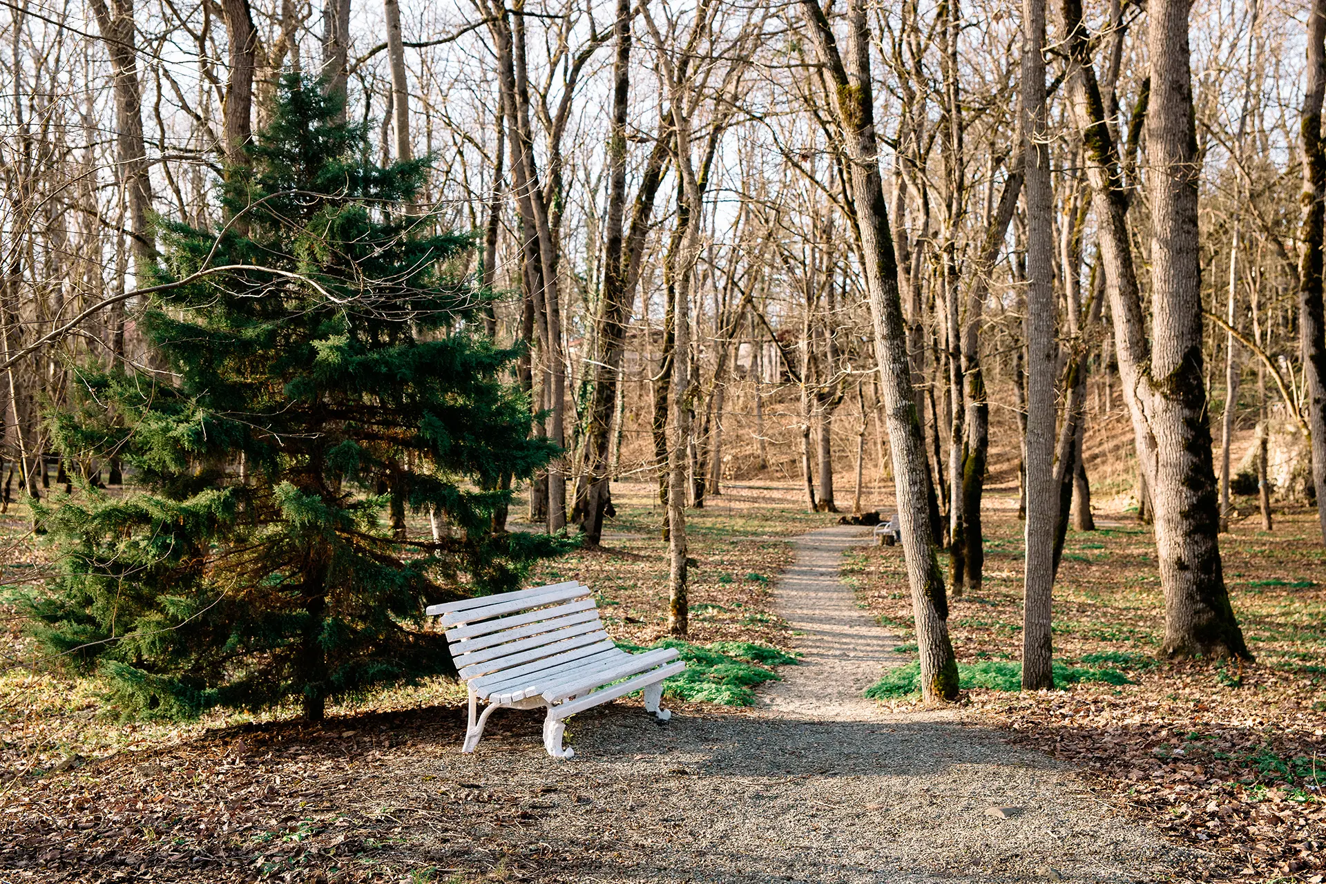 l512bcq4679scaeujc3ky6beds6rowcy