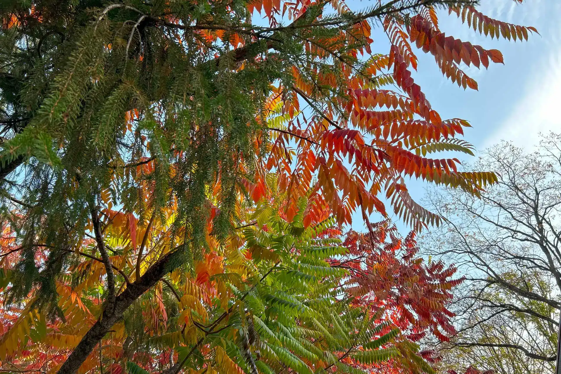 lxbm1xa4drfhxev230acn5dckkpd3smx