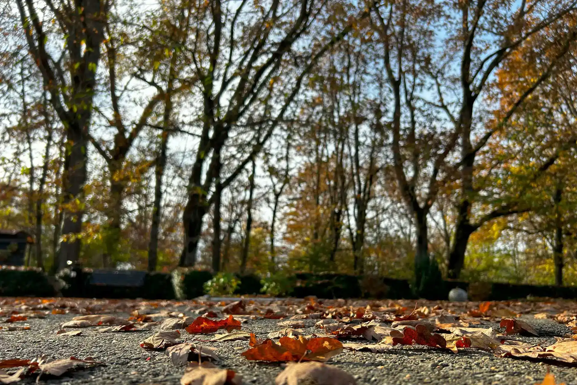 nws2740tcwxhnv8qz4tj5xgjvdql1j0y