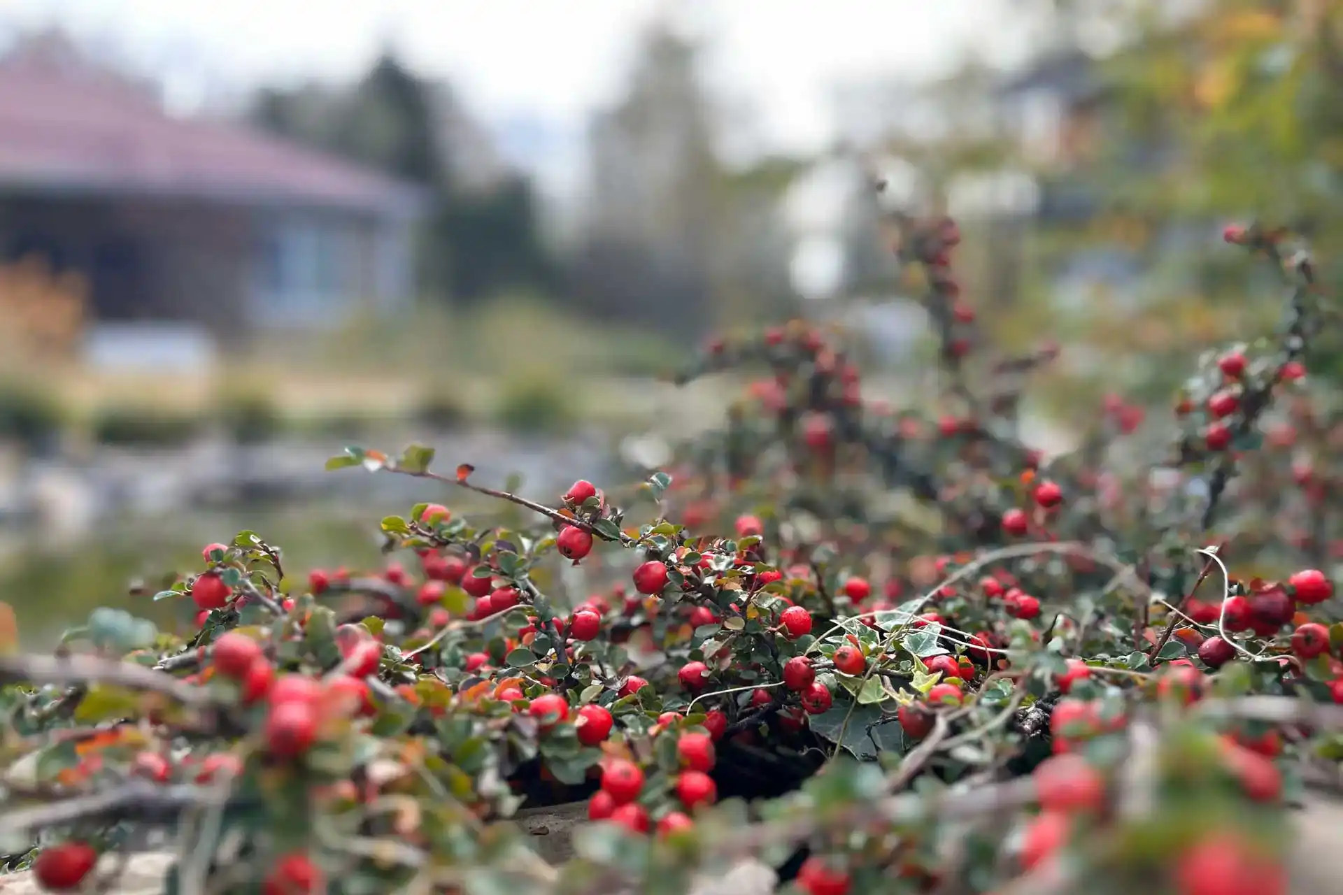 qxa1x2sf75towm074kn19pwp7oxjz632