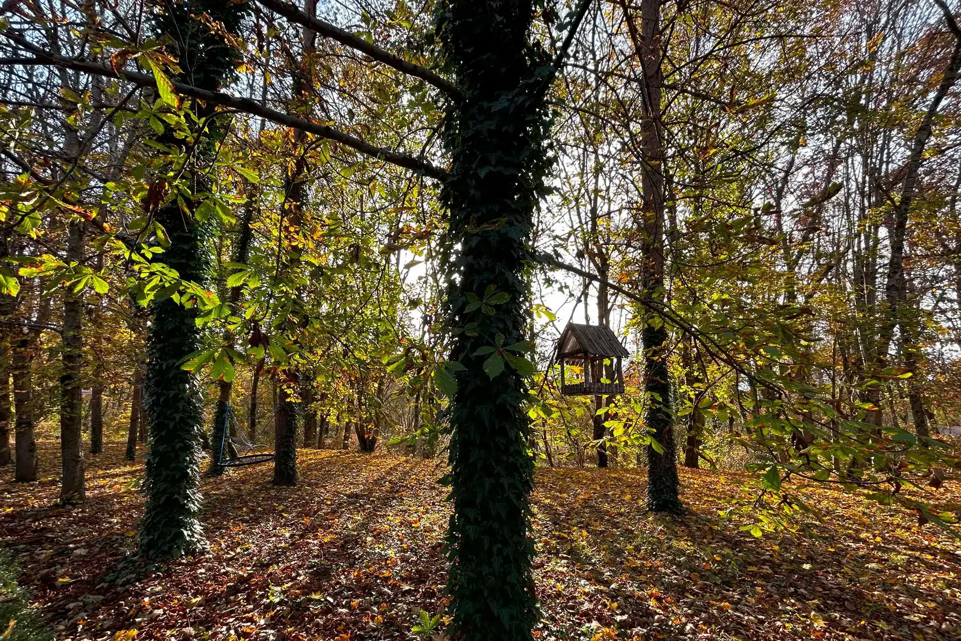 zboatnh2bi35sh8j7dlah0gntsxv62t5