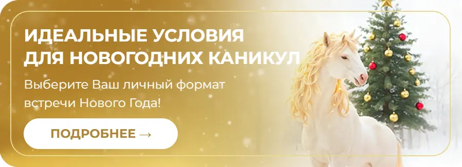 новогоднее предложение